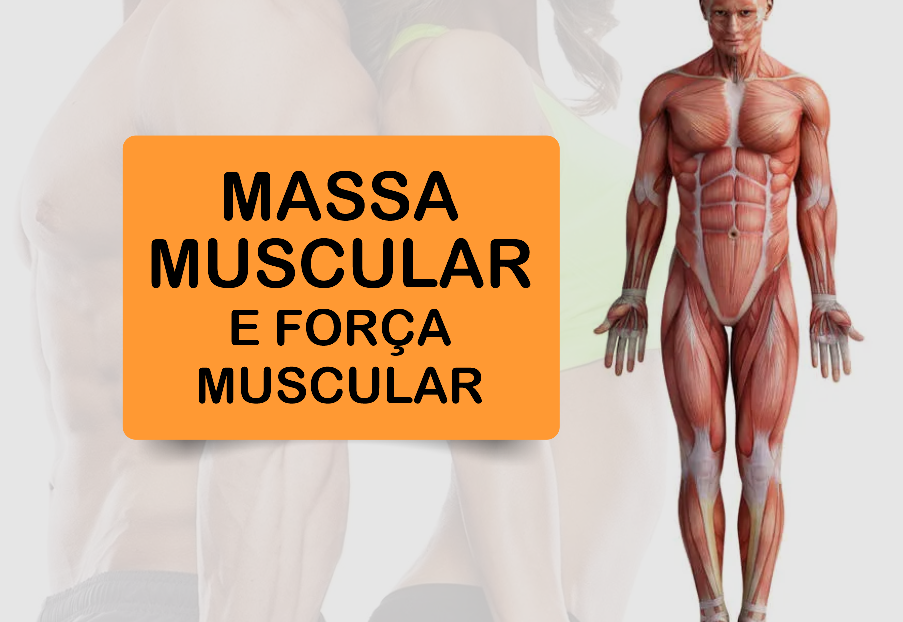 massa muscular